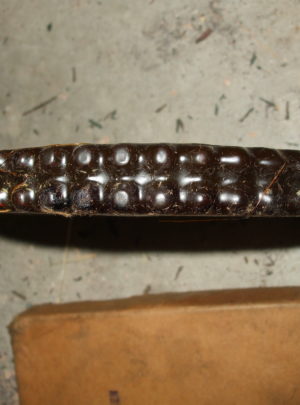 NOS GMC DUKW Forward Bilge Pump Drive Sprocket (1ea)