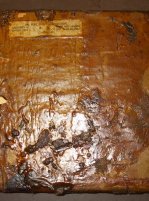 NOS AC Speedometer Drive Shaft Casing (less core) (1ea)